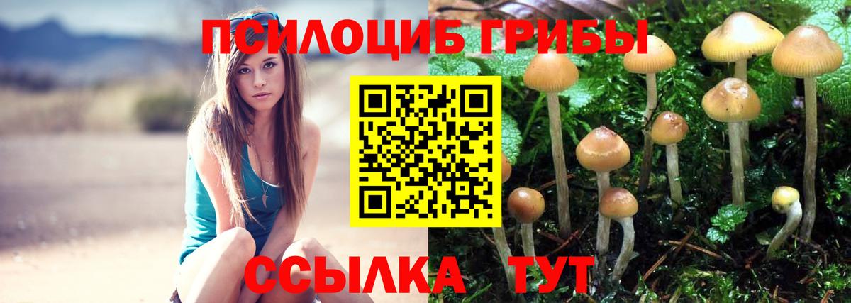 Учалы  Псилоцибиновые грибы GOLDEN TEACHER  Вход с VPN 