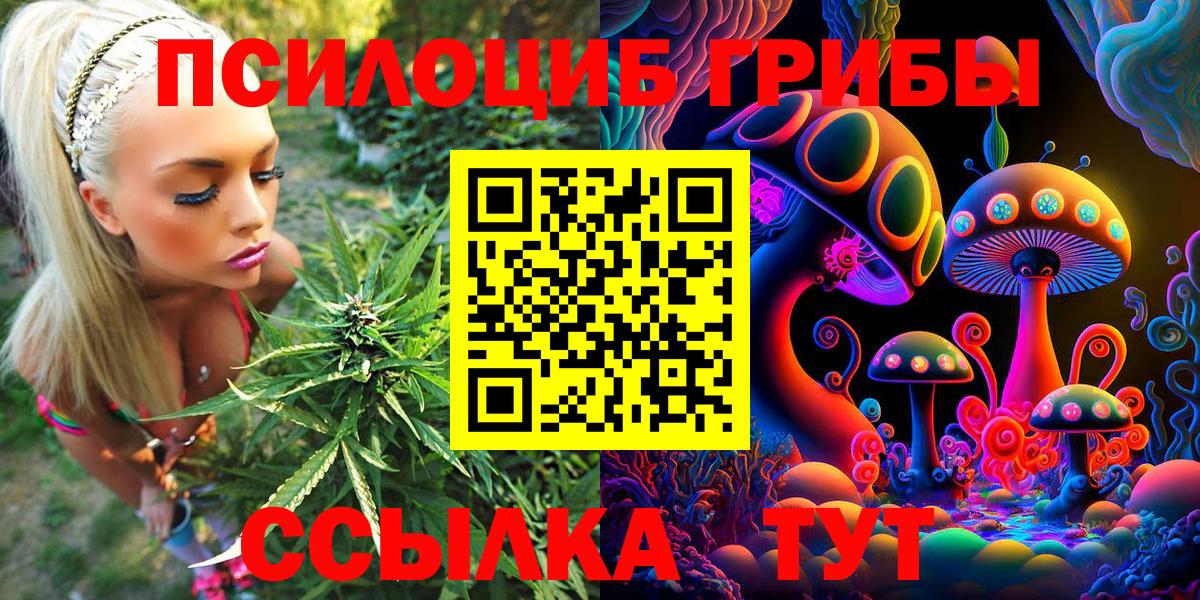 Псилоцибиновые грибы Psilocybine cubensis Учалы
